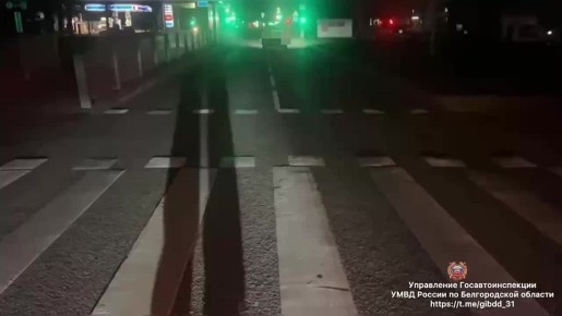#СВОДКА_ДТП. По предварительным данным, вчера около 21 часов 45 минут на ул. Щорса в г. Белгороде 35-летний водитель, управляя автомобилем «Рено Логан», совершил наезд на 69-летнего мужчину, который переходил проезжую часть...