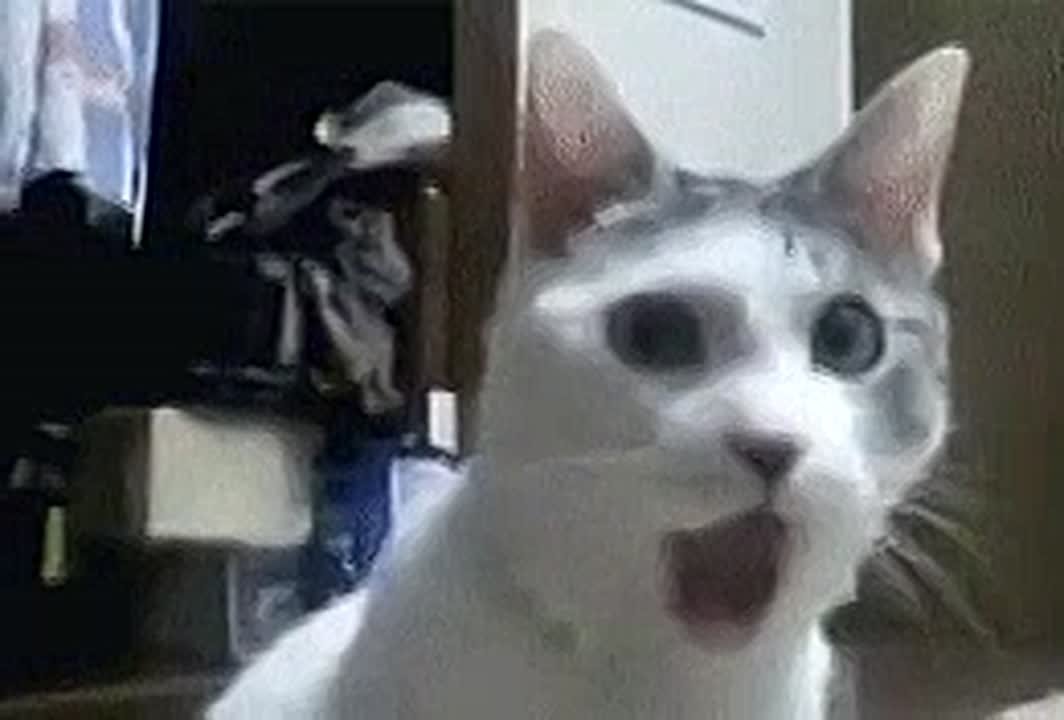 Первые в истории Белгородской области: в регионе родились Авелия и Марк Аврелий