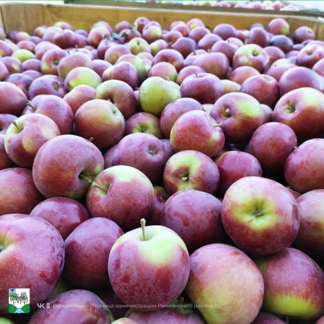 Отличные новости из мира сельского хозяйства! Отличные новости из мира сельского хозяйства!