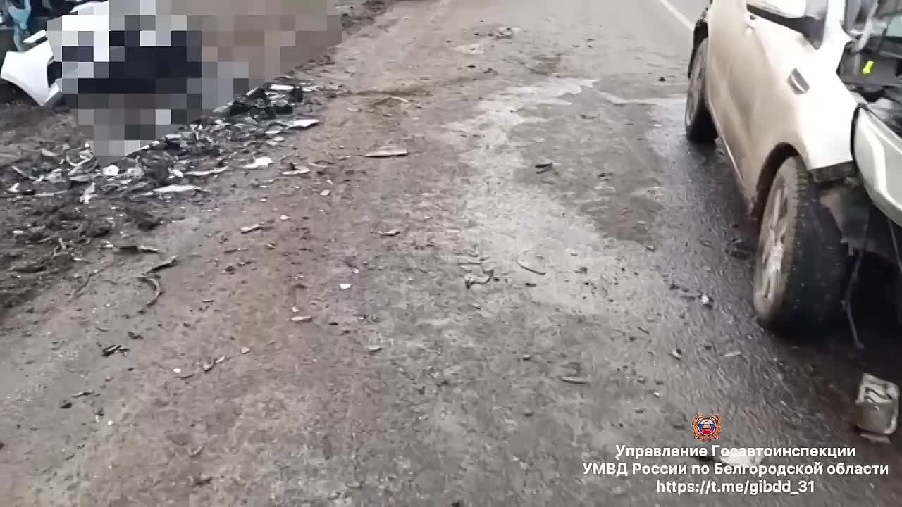 #СВОДКА_ДТП. По предварительным данным, вчера около 08 часов 35 минут на 27 км автодороги «Борисовка – Пролетарский» Ракитянского района 45-летний водитель автомобиля «Киа Рио» не справился с управлением, в результате чего...