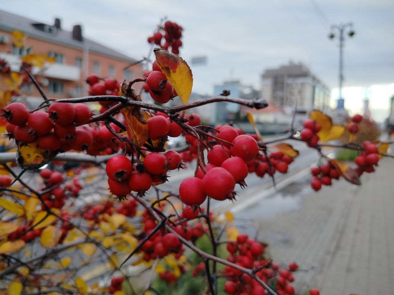 Сегодня, 20 ноября, будет переменная облачность