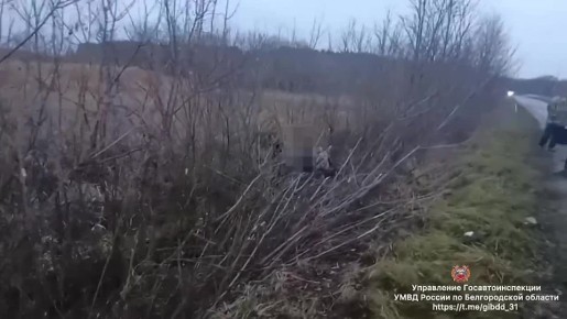 #_.   ,   16  05   2          - - 29-       ...