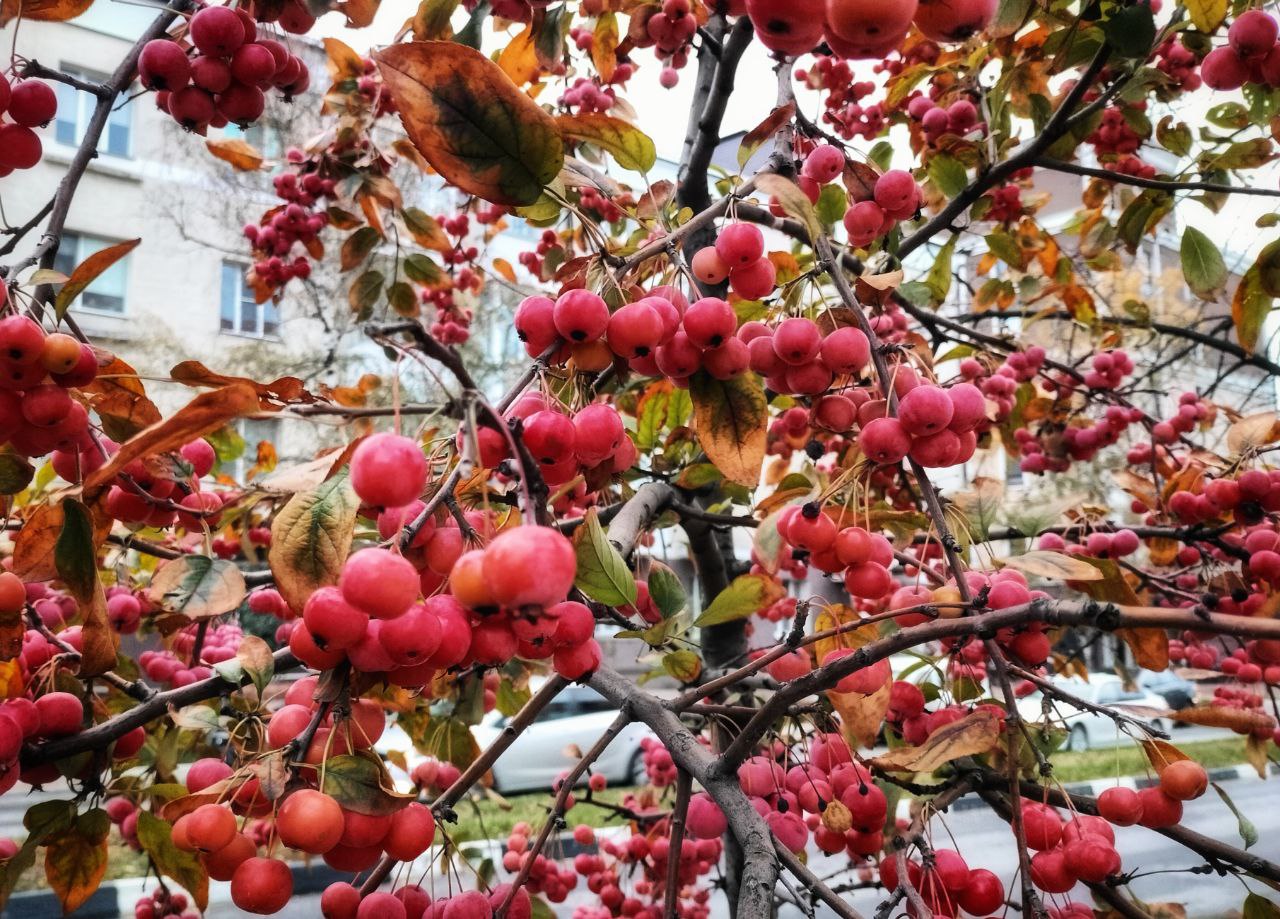 В воскресенье, 23 ноября, нас ждёт облачная погода