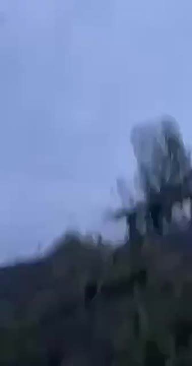 ������� ������� ��������������� ����: �������� ��� ������� ����, ��� � ������� ��������������� ������� � �������, ����������, �����������, �����������, ����������������, ������������ �������� � �� �������� ��������������...