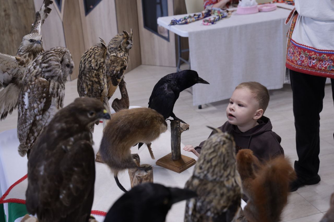 Грайворонцы выступили на областной эстафете культуры «Белгородская область – Родина Победы» Грайворонцы выступили на областной эстафете культуры «Белгородская область – Родина Победы»