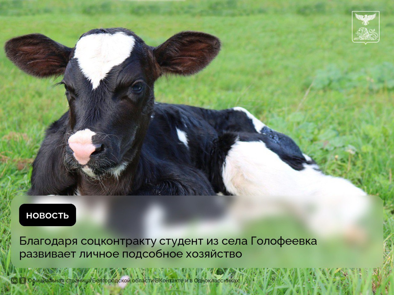 Благодаря соцконтракту студент из села Голофеевка развивает личное подсобное хозяйство