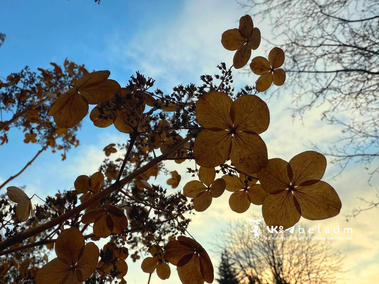 Доброе утро, Белгород!. 25 ноября нас ждёт переменная облачность