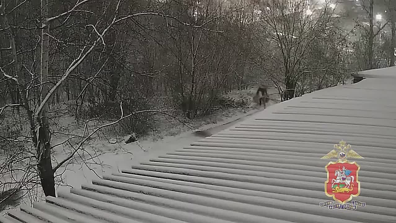 Концертное оборудование на 3,5 млн рублей похитил 57-летний житель Белгородской области в Химках