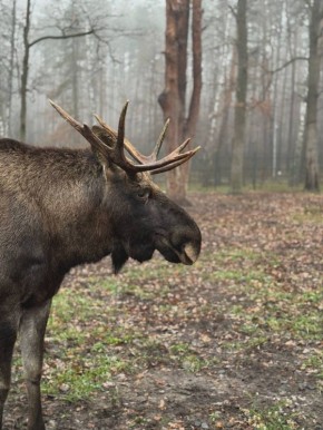 Погода 25 ноября. Сегодня синоптики обещают облачную с прояснениями погоду