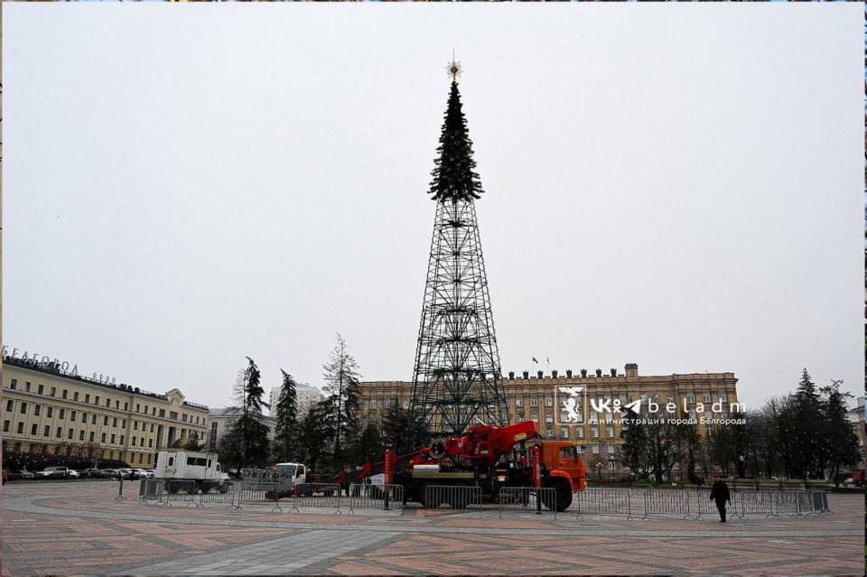 Новогодние иллюминации в Белгороде будут работать от резервных источников питания