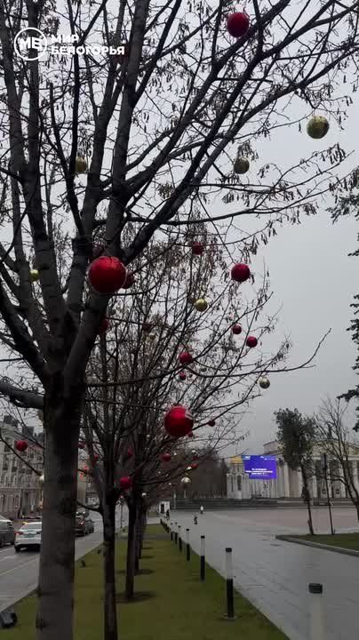 На главной новогодней ёлке Белгорода появилась звезда