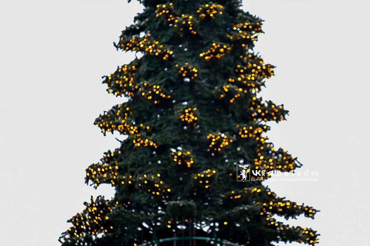 Приближается Новый год – праздник, который при любых обстоятельствах ждут и дети, и взрослые Приближается Новый год – праздник, который при любых обстоятельствах ждут и дети, и взрослые