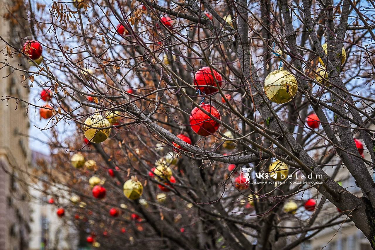 Приближается Новый год – праздник, который при любых обстоятельствах ждут и дети, и взрослые Приближается Новый год – праздник, который при любых обстоятельствах ждут и дети, и взрослые