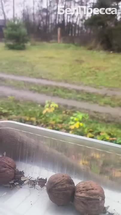 Иногда самые простые моменты приносят больше всего радости!