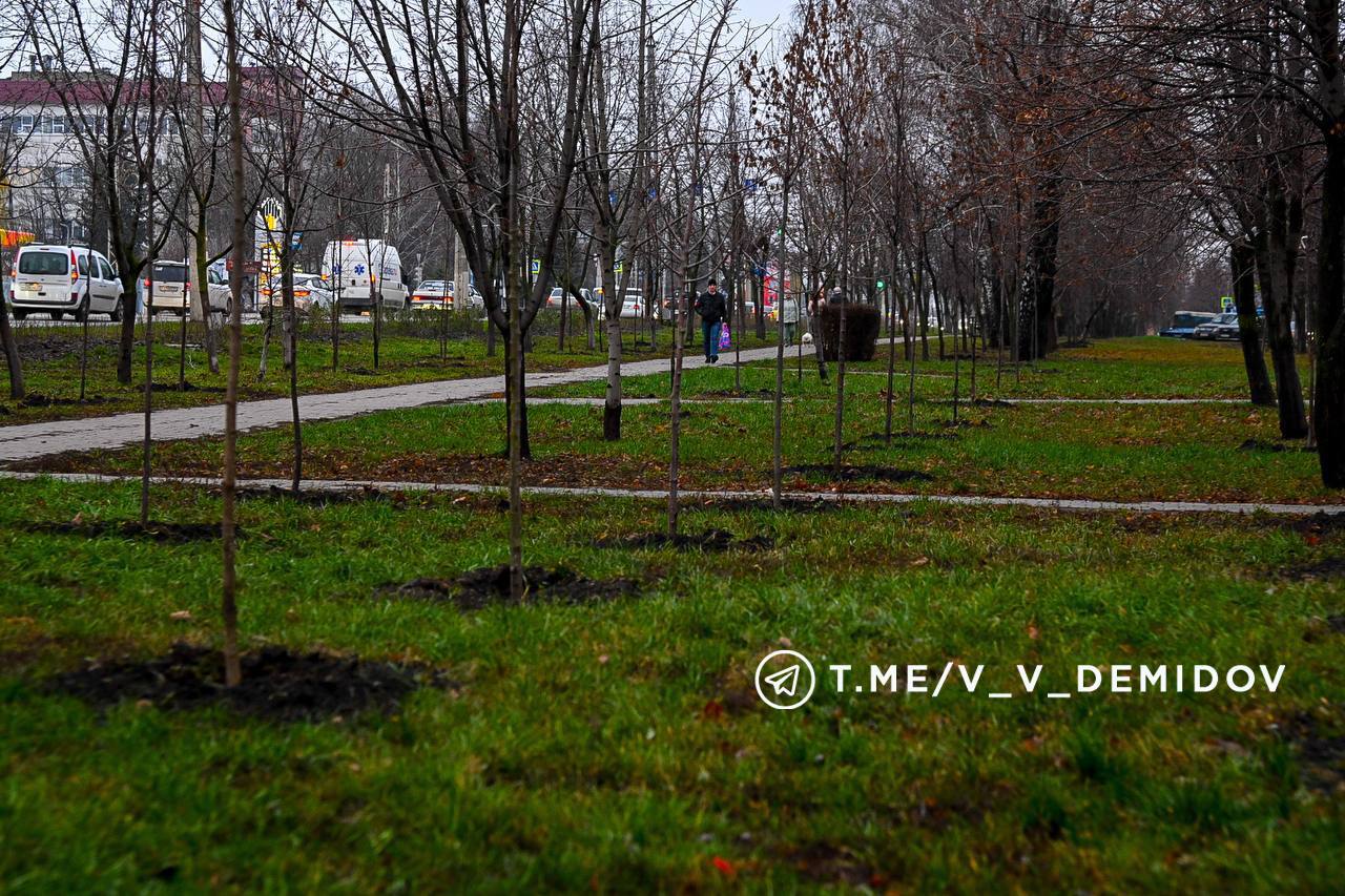 Валентин Демидов: Продолжаем масштабное обновление зелёного каркаса Белгорода Валентин Демидов: Продолжаем масштабное обновление зелёного каркаса Белгорода