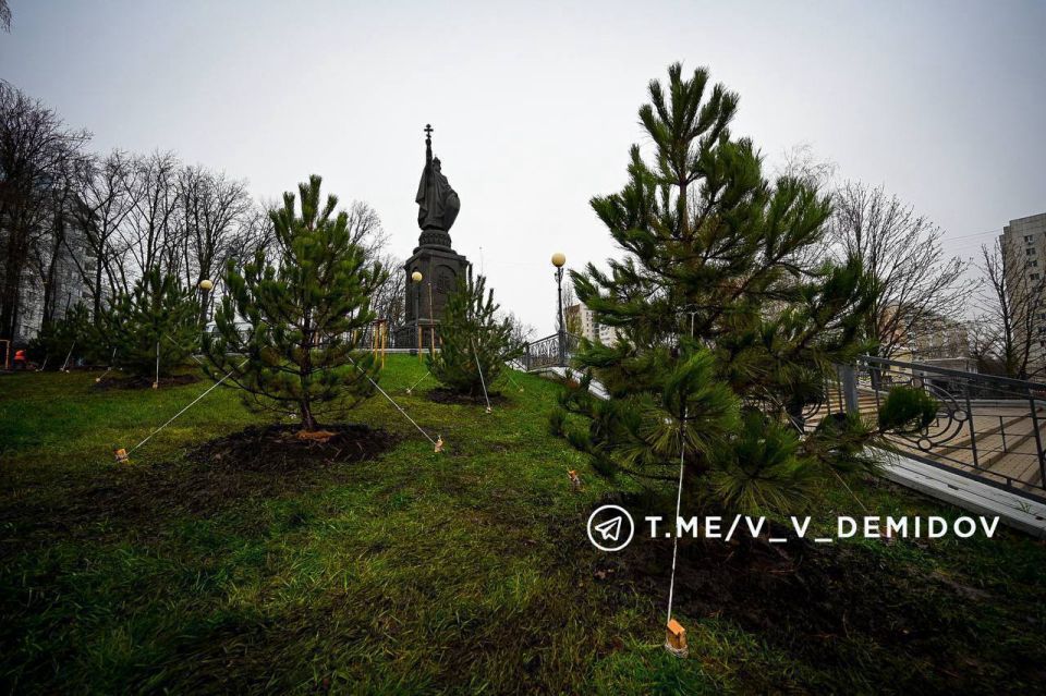 В Белгороде высаживают «зелёные стены» от шума и пыли