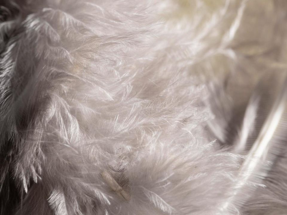 Секреты перехода от старья к плодородию