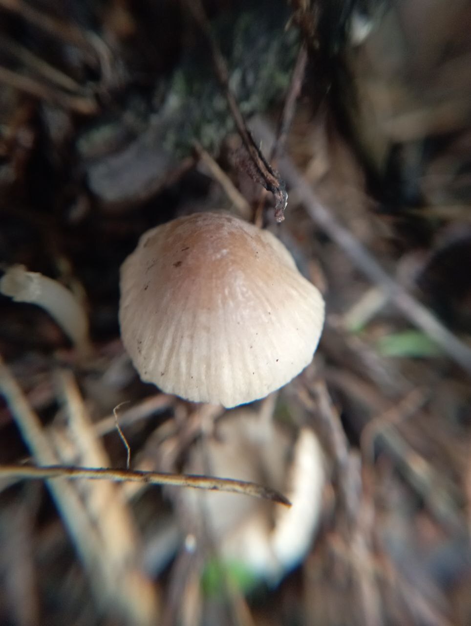 Завораживающая красота уходящей осени в фотографиях нашего подписчика Льва Попова! Завораживающая красота уходящей осени в фотографиях нашего подписчика Льва Попова!