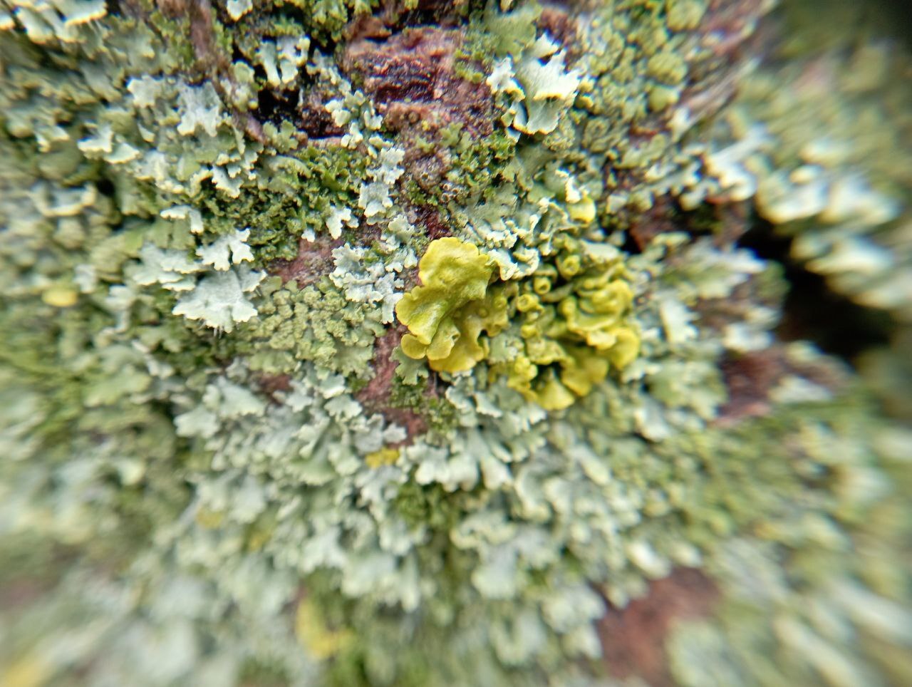 Завораживающая красота уходящей осени в фотографиях нашего подписчика Льва Попова! Завораживающая красота уходящей осени в фотографиях нашего подписчика Льва Попова!