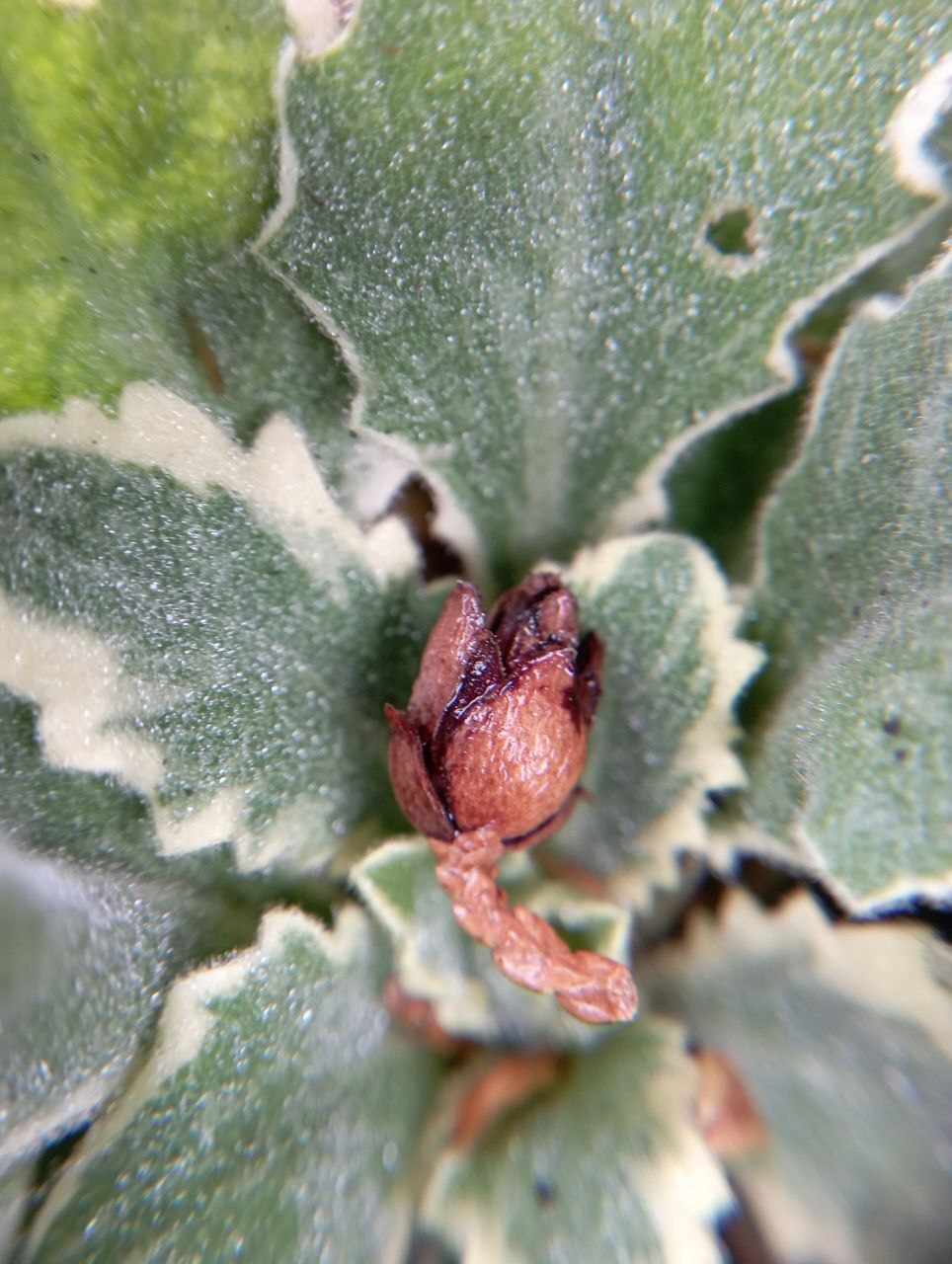 Завораживающая красота уходящей осени в фотографиях нашего подписчика Льва Попова! Завораживающая красота уходящей осени в фотографиях нашего подписчика Льва Попова!