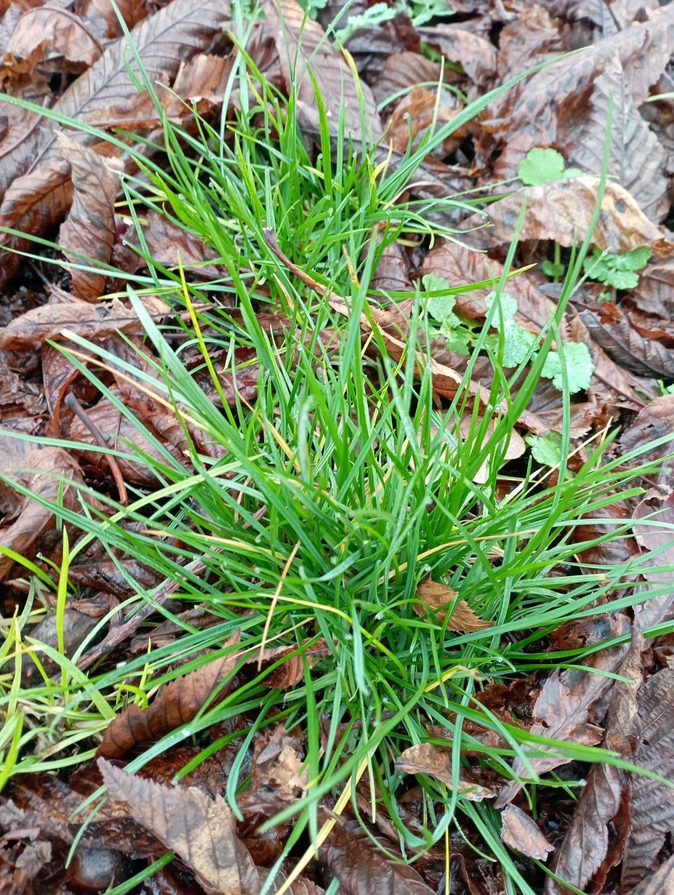 Завораживающая красота уходящей осени в фотографиях нашего подписчика Льва Попова! Завораживающая красота уходящей осени в фотографиях нашего подписчика Льва Попова!