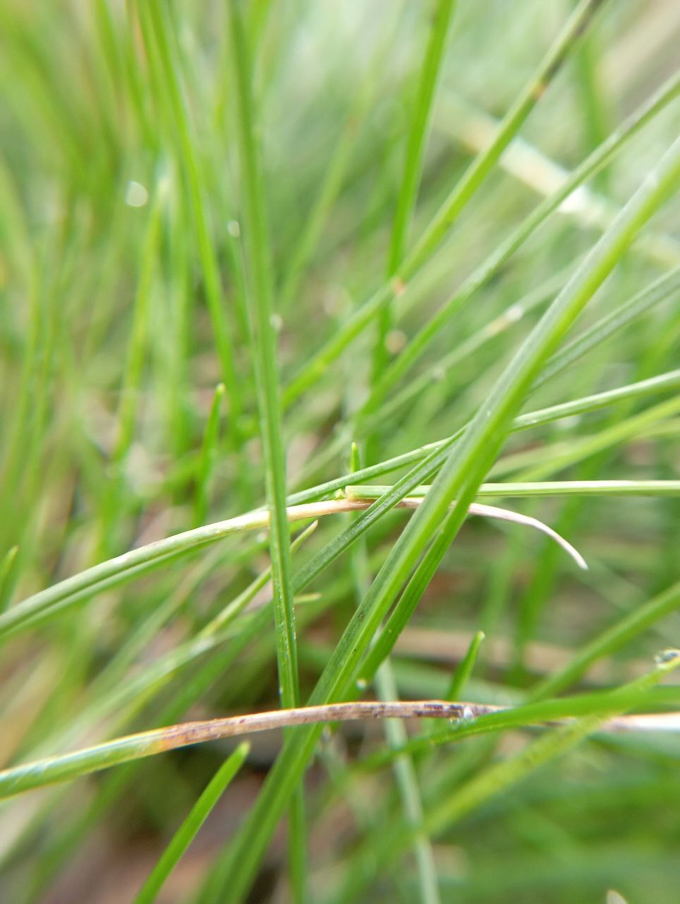 Завораживающая красота уходящей осени в фотографиях нашего подписчика Льва Попова! Завораживающая красота уходящей осени в фотографиях нашего подписчика Льва Попова!