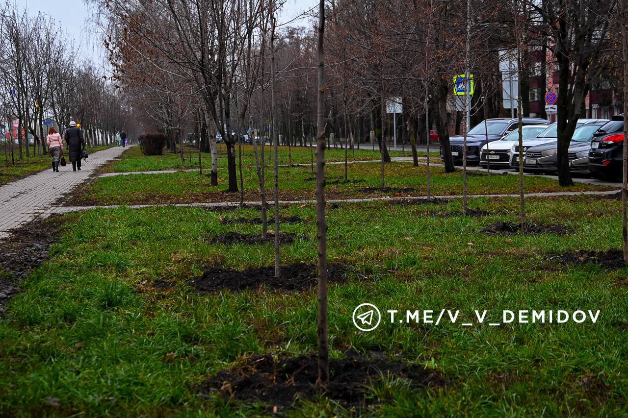 Валентин Демидов: Продолжаем масштабное обновление зелёного каркаса Белгорода Валентин Демидов: Продолжаем масштабное обновление зелёного каркаса Белгорода