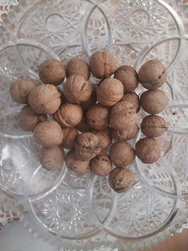 Скорлупа грецких орехов: непривычное, но эффективное удобрение для сада