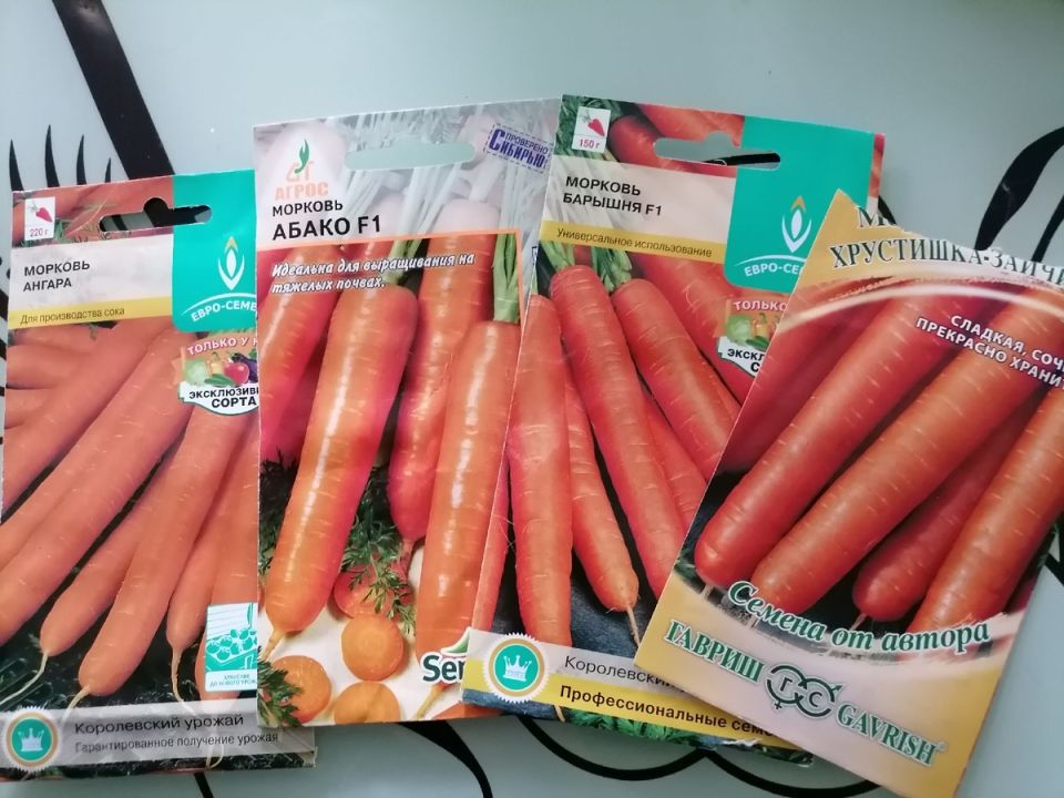 Морковь на грядках: как выбрать идеальный сорт для вашего сада