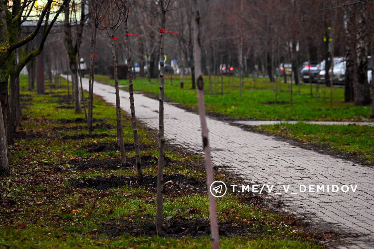 Валентин Демидов: Продолжаем масштабное обновление зелёного каркаса Белгорода Валентин Демидов: Продолжаем масштабное обновление зелёного каркаса Белгорода