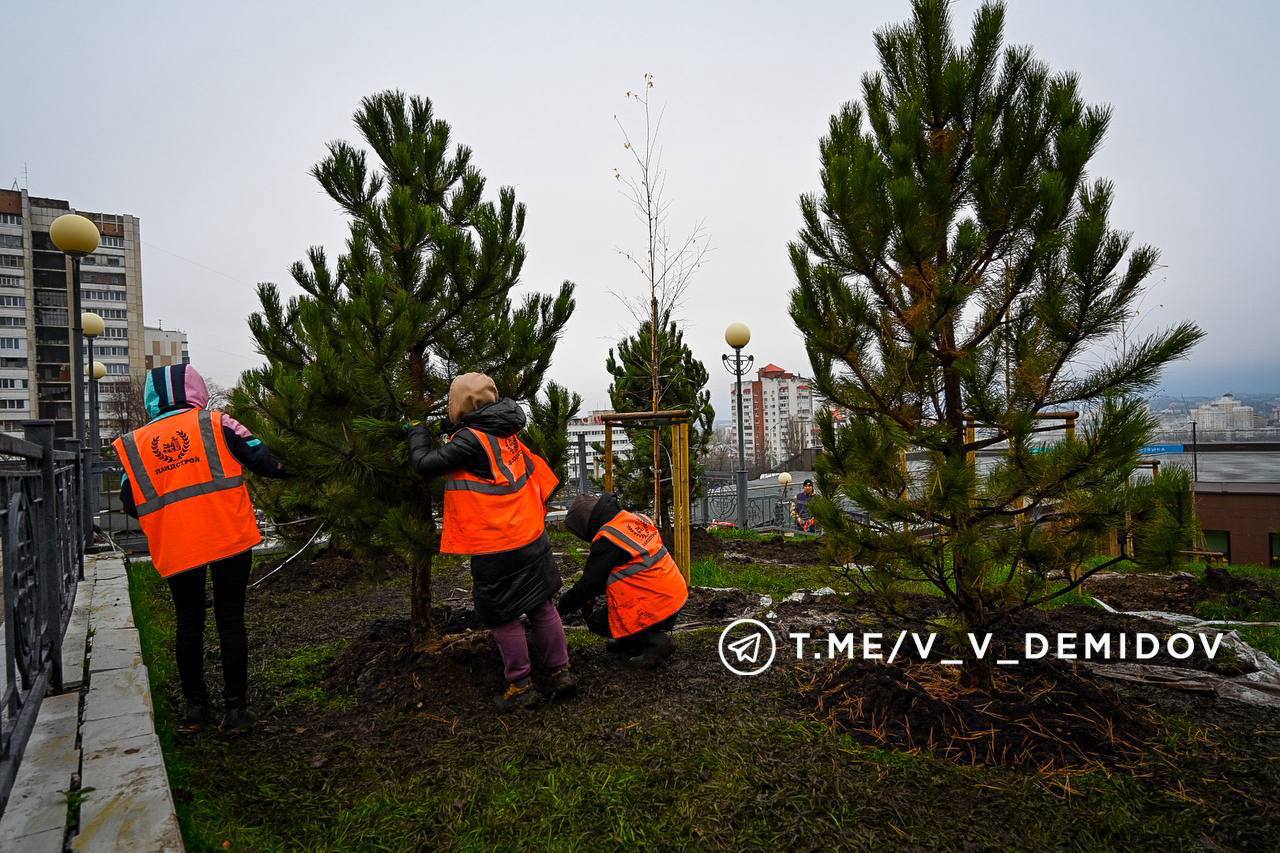Валентин Демидов: Продолжаем масштабное обновление зелёного каркаса Белгорода Валентин Демидов: Продолжаем масштабное обновление зелёного каркаса Белгорода
