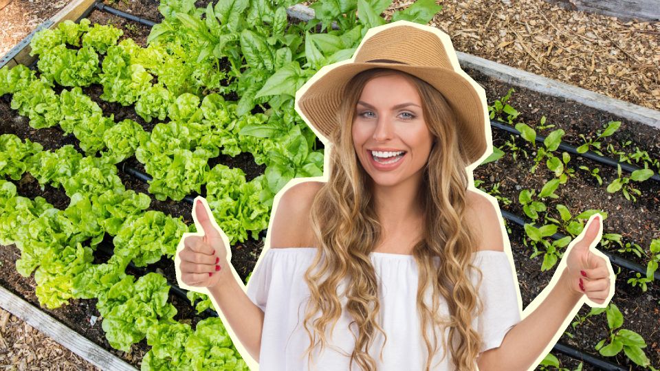 Организуйте на грядках простой капельный полив: зарывать в землю ничего не придется