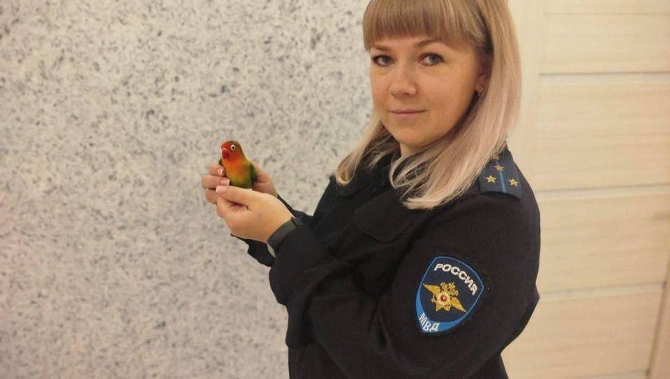 ������� ��������� ���� �������� �������� � ���� ���������� ������������ � ����� ��������, ����� � ��������� ��� ��������� � �� � ������ �� ���, ���� ���������