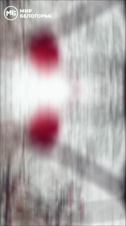 В парке Ленина царит особая атмосфера уюта