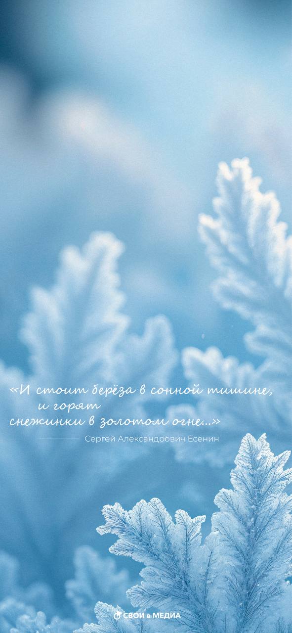 Думаешь, вдохновлять может только золотистая осень? А вот и нет! Думаешь, вдохновлять может только золотистая осень? А вот и нет!