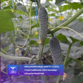 Программа «Содействие» — это одна из эффективных мер поддержки жителей нашего района