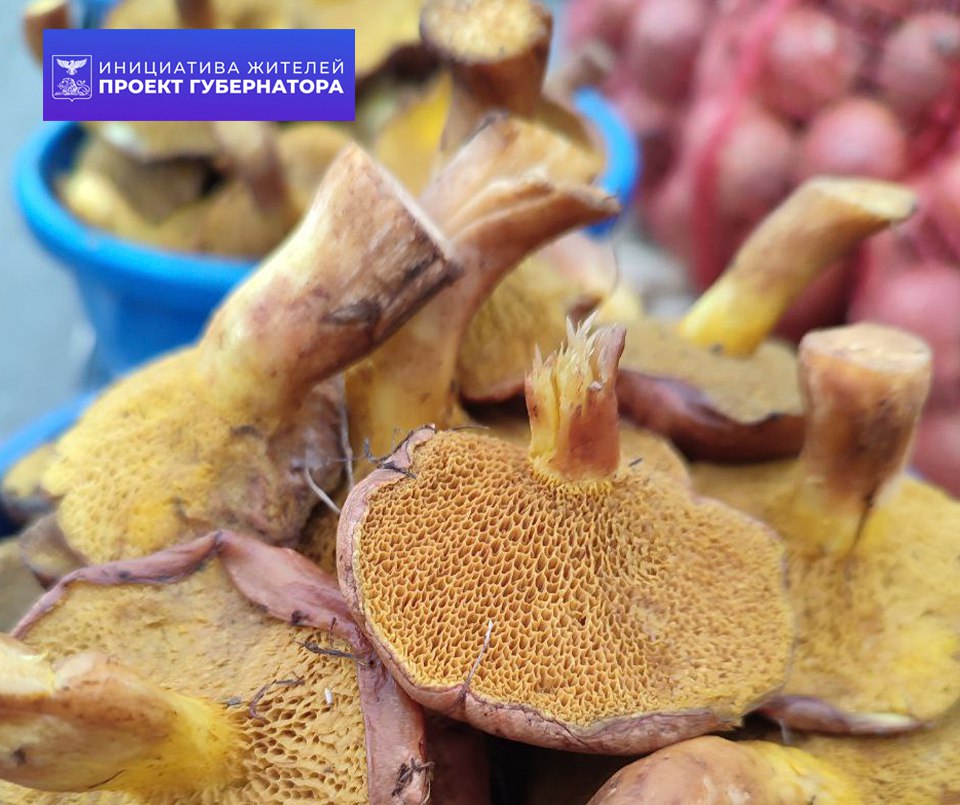 В воскресенье в Алексеевском округе снова прошла продовольственная ярмарка В воскресенье в Алексеевском округе снова прошла продовольственная ярмарка