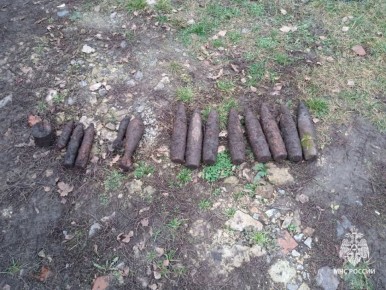 Сразу 14 боеприпасов времён Великой Отечественной войны обнаружил местный житель в хуторе Глушинский Яковлевского округа, когда гулял с собакой возле дома