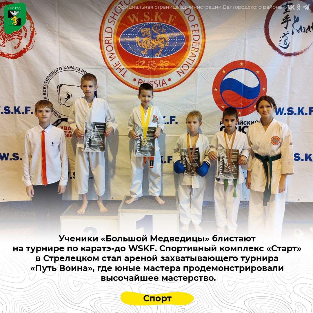 Ученики «Большой Медведицы» блистают на турнире по каратэ-до WSKF