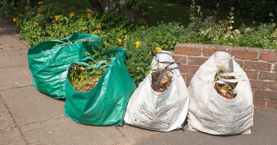 Новые правила вывоза отходов: что изменится для управляющих организаций и ТСЖ?