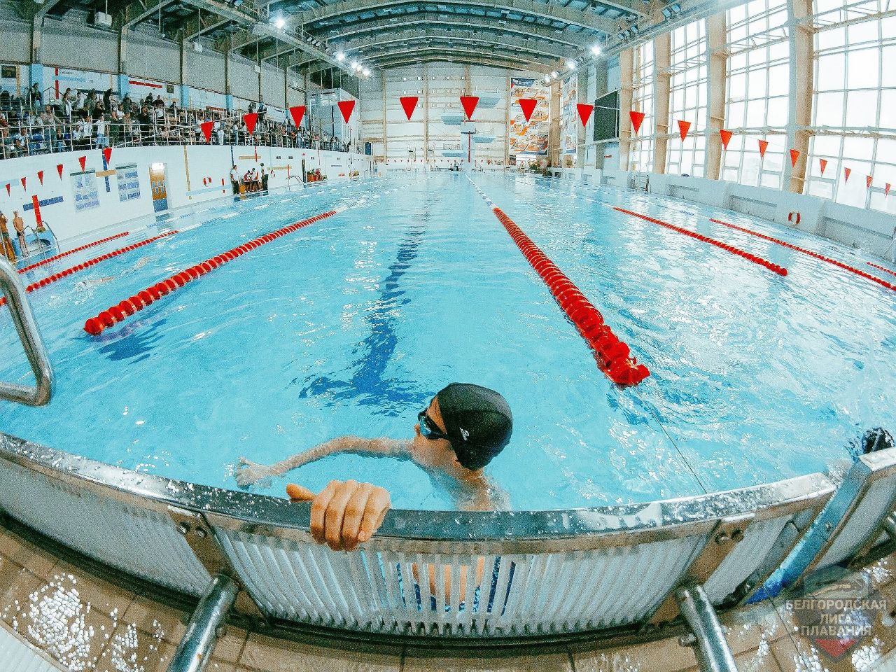 Олег Медведев: 29 ноября 2025 года в Белгороде состоялся Открытый Кубок по плаванию «Белгородская лига плавания», прошедший на базе бассейна УСК Светланы Хоркиной Олег Медведев: 29 ноября 2025 года в Белгороде состоялся Открытый Кубок по плаванию «Белгородская лига плавания», прошедший на базе бассейна УСК Светланы Хоркиной