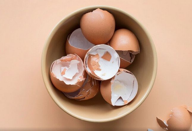 Яичная скорлупа: как превратить отходы в полезные ресурсы