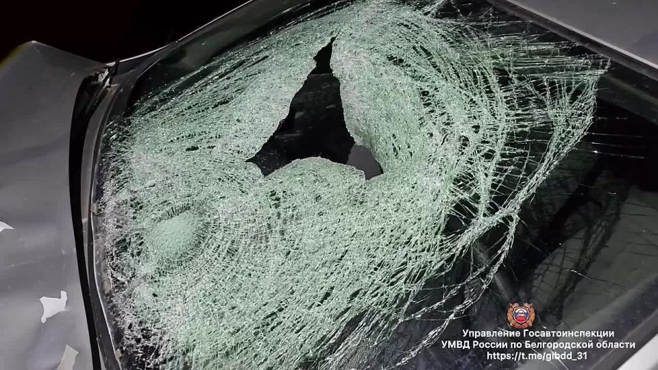 #������_���. �� ��������������� ������, ����� ����� 16 ����� 55 ����� �� 1 �� ���������� ��������� - ������� ������� 43-������ ��������, �������� ����������� ������ ������, �������� ����� �� 63-������� ��������, ������������...