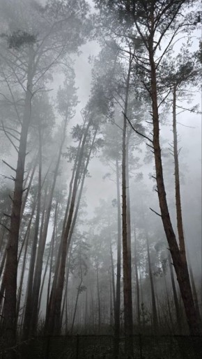 Погода 4 декабря. Сегодня синоптики обещают пасмурную погоду