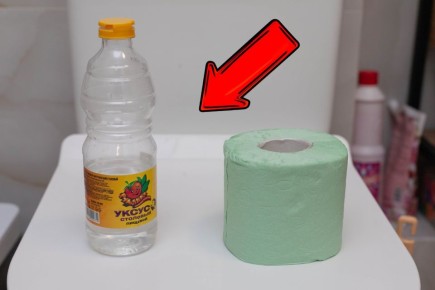 Необычный способ уборки: уксус и туалетная бумага как идеальный тандем