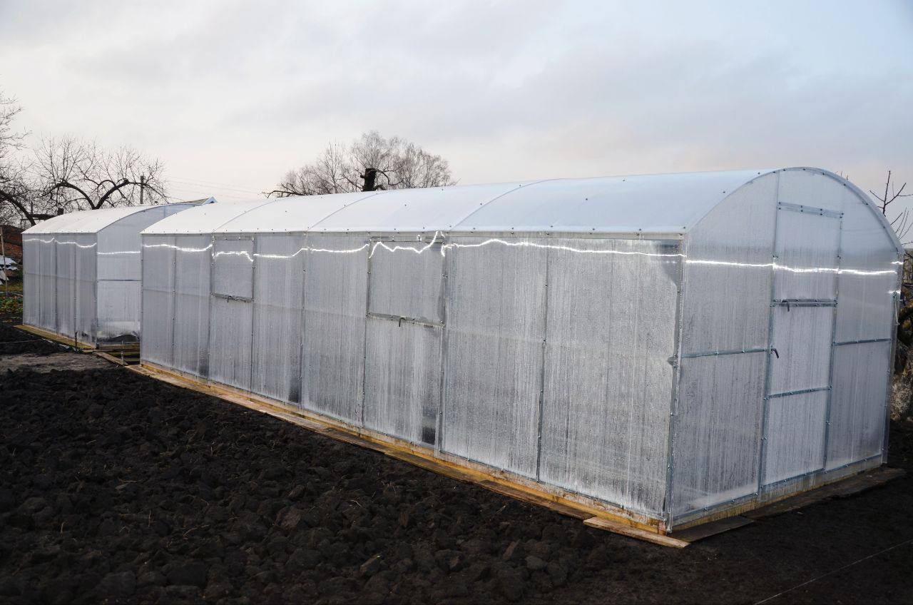 Жительница Красной Яруги Ирина Рябченко воспользовалась соцконтрактом на развитие ЛПХ Жительница Красной Яруги Ирина Рябченко воспользовалась соцконтрактом на развитие ЛПХ