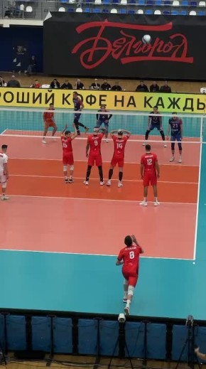Белгородские волейболисты одержали восьмую победу в чемпионате России
