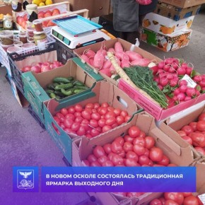 Андрей Миськов: Сегодня в Новом Осколе состоялась сельскохозяйственная ярмарка выходного дня