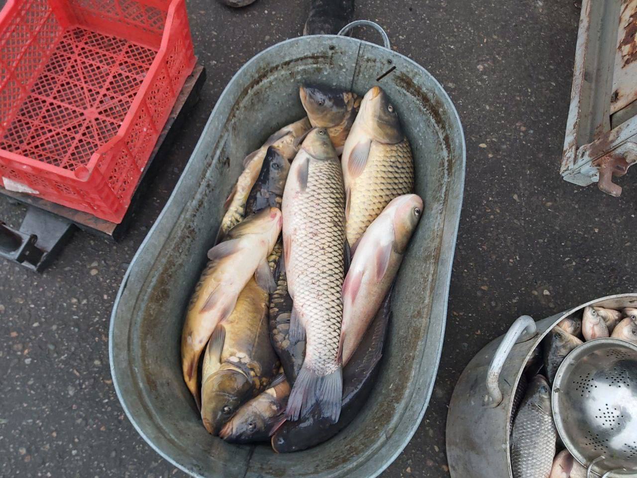 Андрей Миськов: Сегодня в Новом Осколе состоялась сельскохозяйственная ярмарка выходного дня Андрей Миськов: Сегодня в Новом Осколе состоялась сельскохозяйственная ярмарка выходного дня