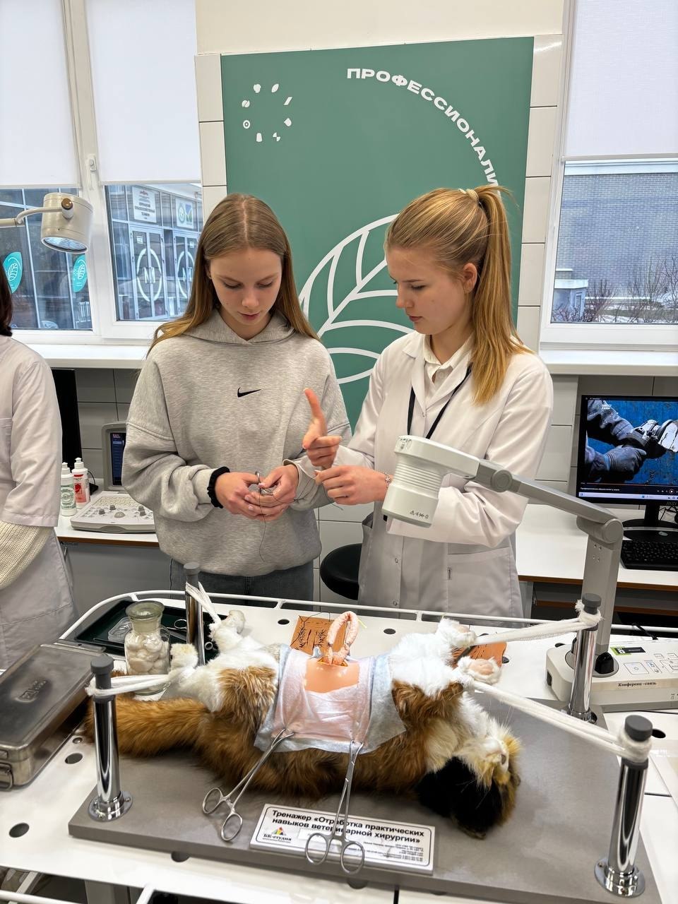 Грайворонские школьники открыли мир сельскохозяйственных профессий Грайворонские школьники открыли мир сельскохозяйственных профессий